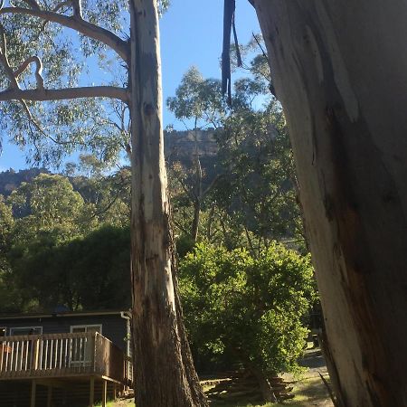 Grampians Nest Villa ฮอลส์แกป ภายนอก รูปภาพ