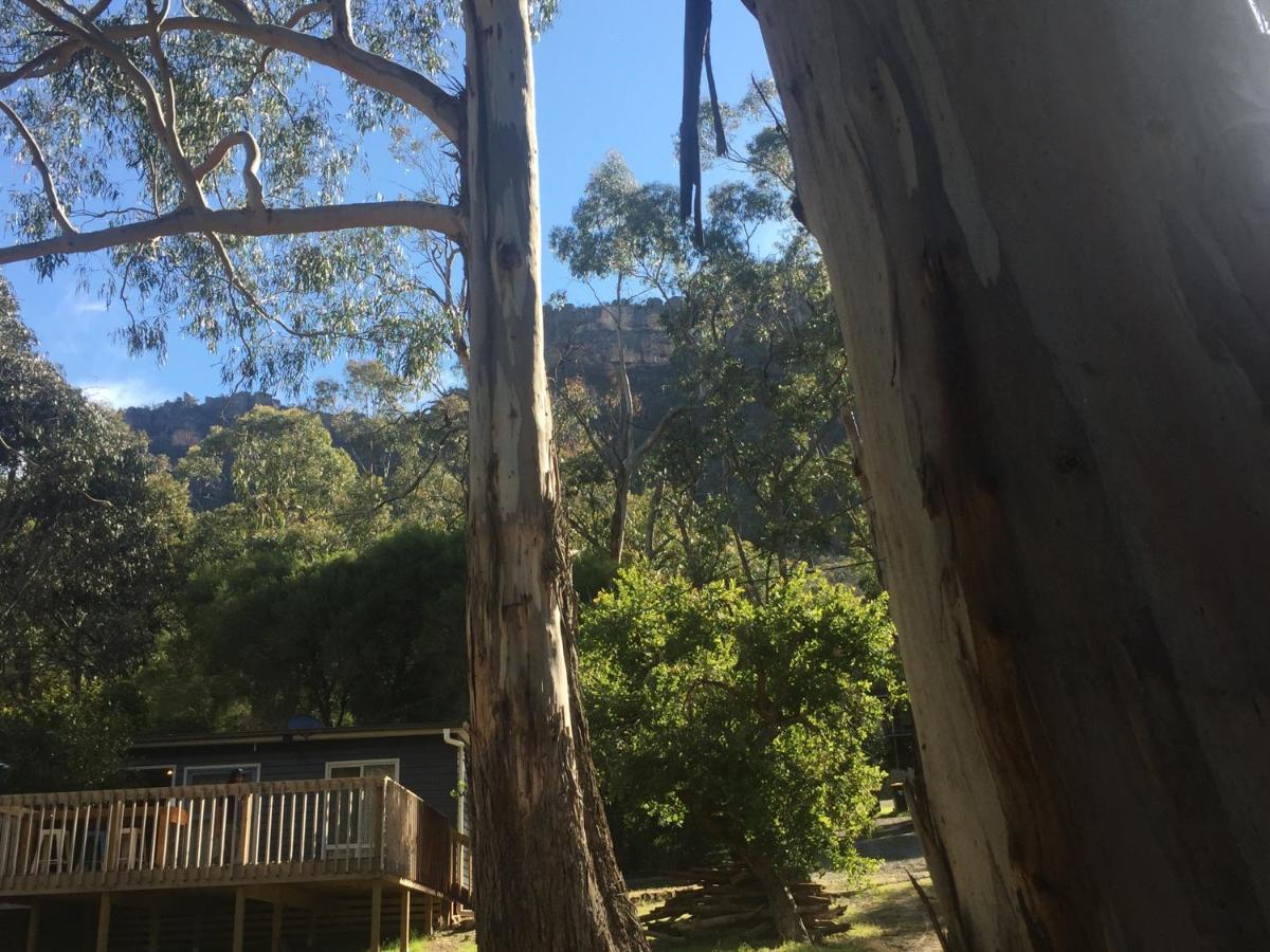 Grampians Nest Villa ฮอลส์แกป ภายนอก รูปภาพ